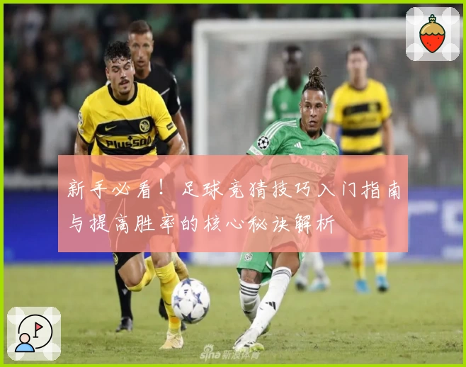 新手必看！足球竞猜技巧入门指南与提高胜率的核心秘诀解析