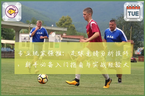 专业玩家强推：足球竞猜分析技巧，新手必备入门指南与实战经验大解析