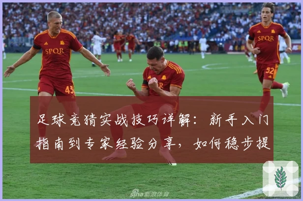 足球竞猜实战技巧详解:新手入门指南到专家经验分享,如何稳步提升胜率